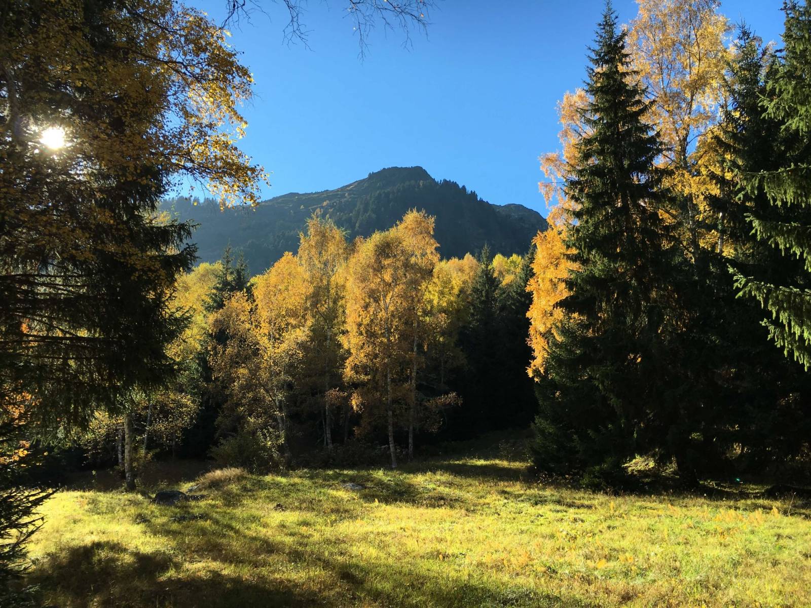 cure de seve de bouleau fraiche villefranche sur saone