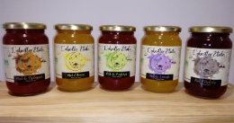 Miel bio : découvrez ceux de l'abeille étoile, en vente à Saveur Nature Villefranche-sur-Saône